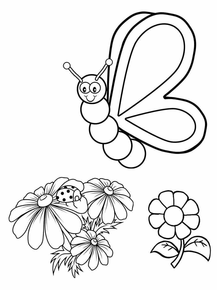 Butterflies coloring page (72)