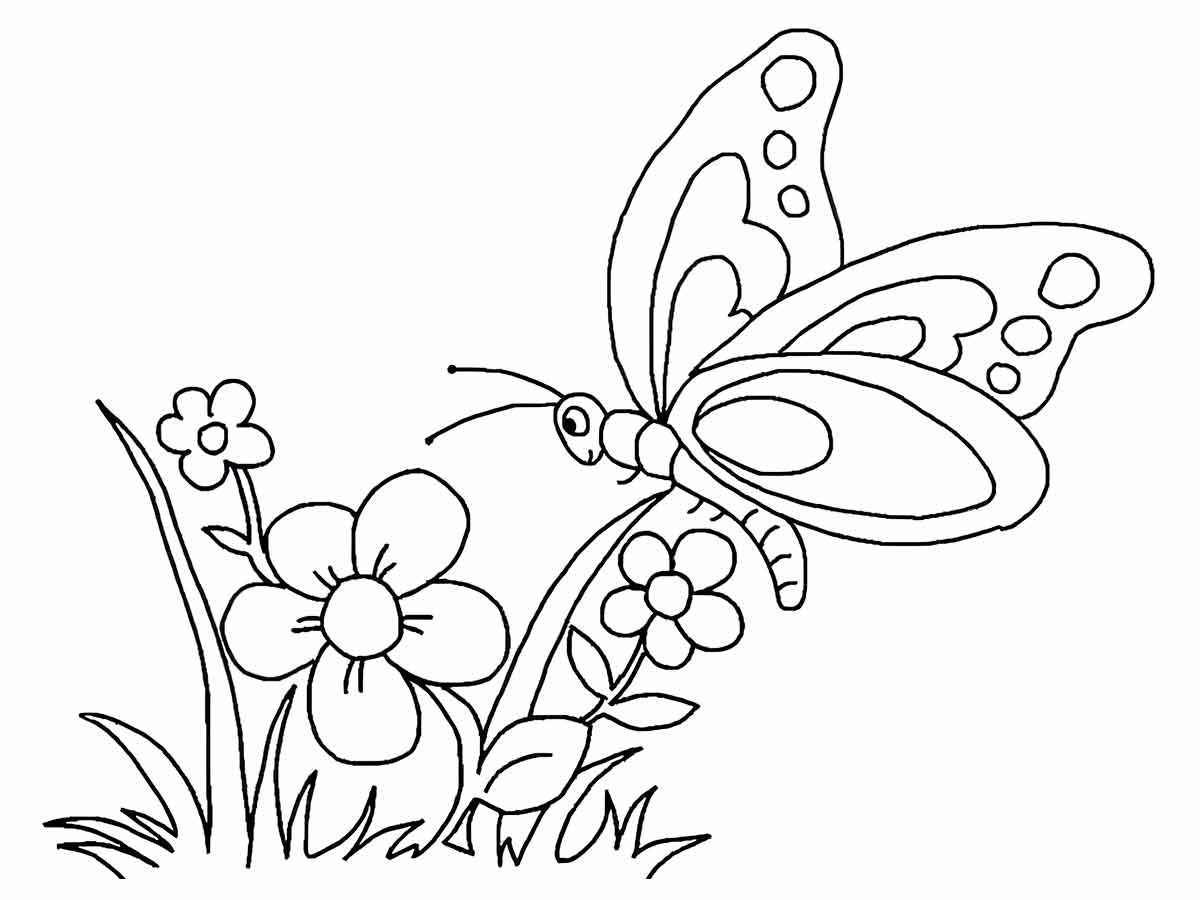 Butterflies coloring page (74)