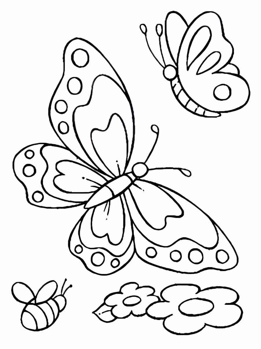 Butterflies coloring page (75)