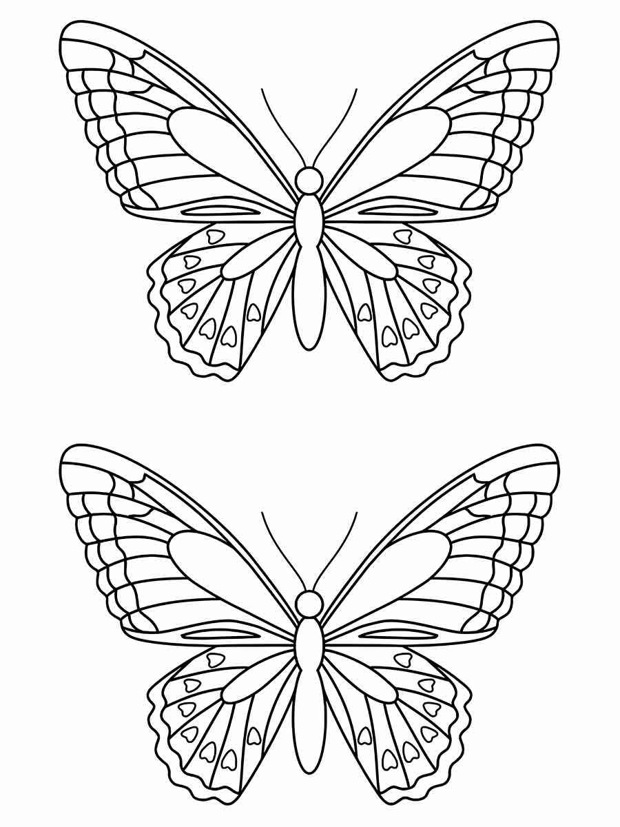 Butterflies coloring page (80)