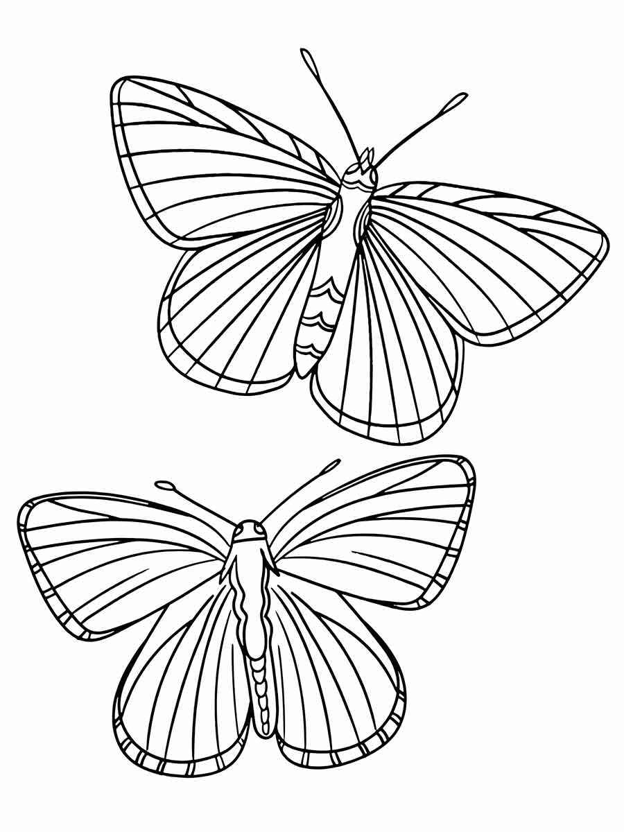 Butterflies coloring page (81)