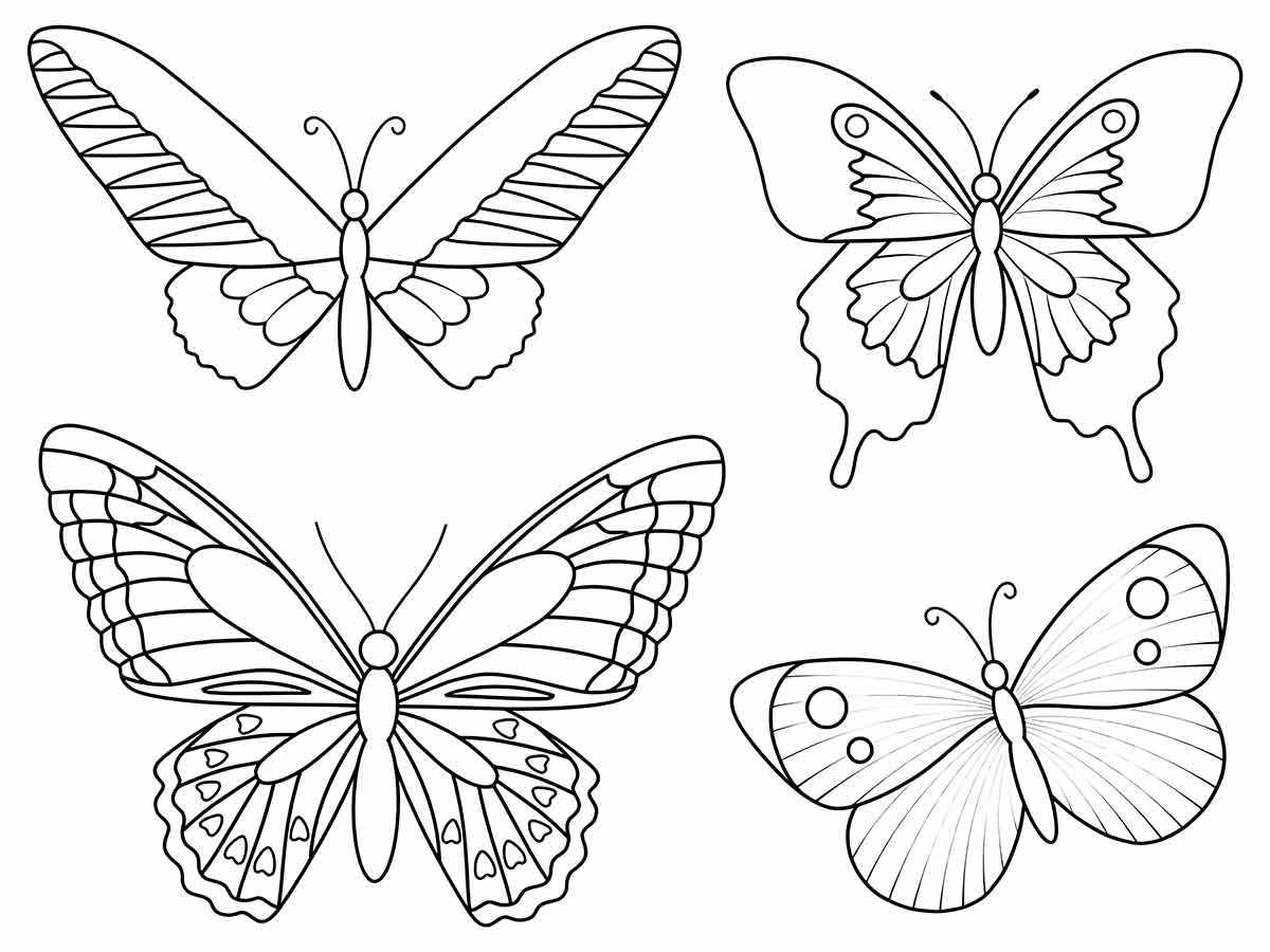 Butterflies coloring page (82)