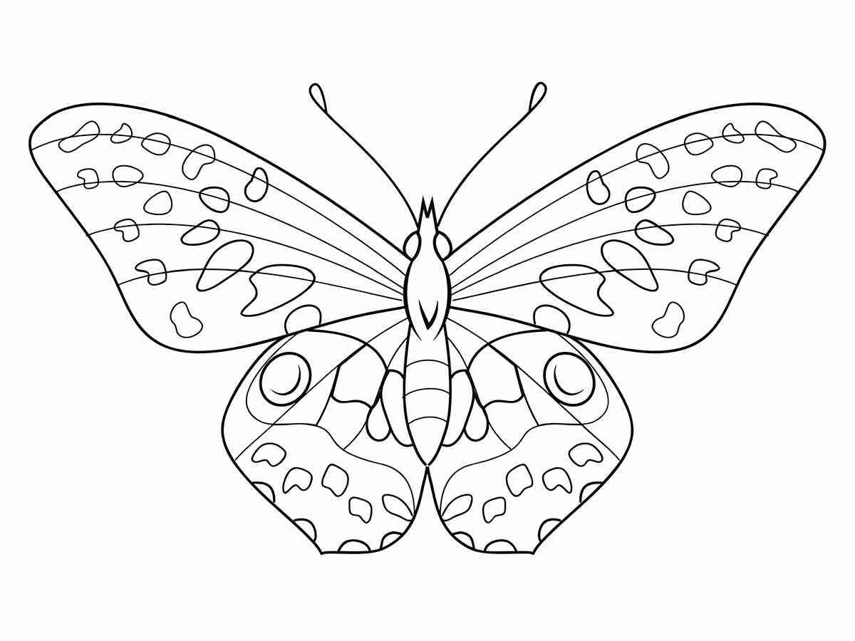 Butterflies coloring page (9)