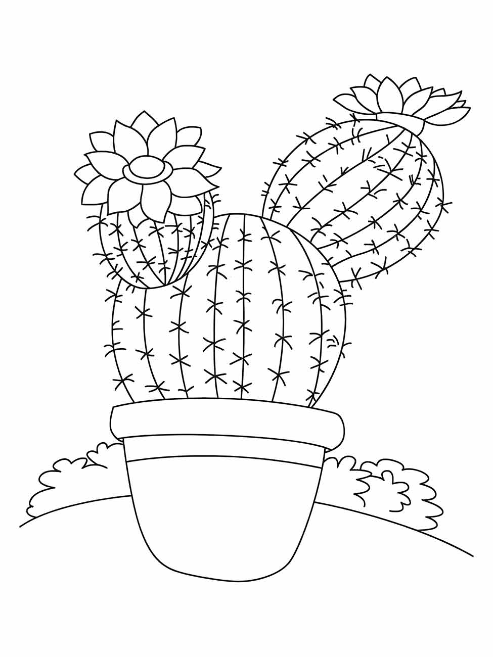 Cacti coloring page (14)