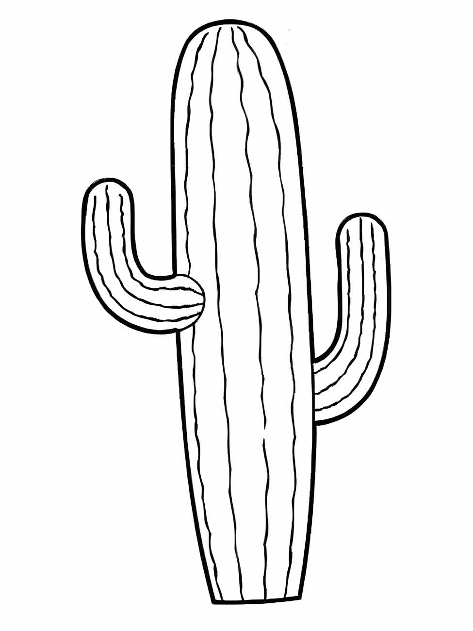 Cacti coloring page (2)