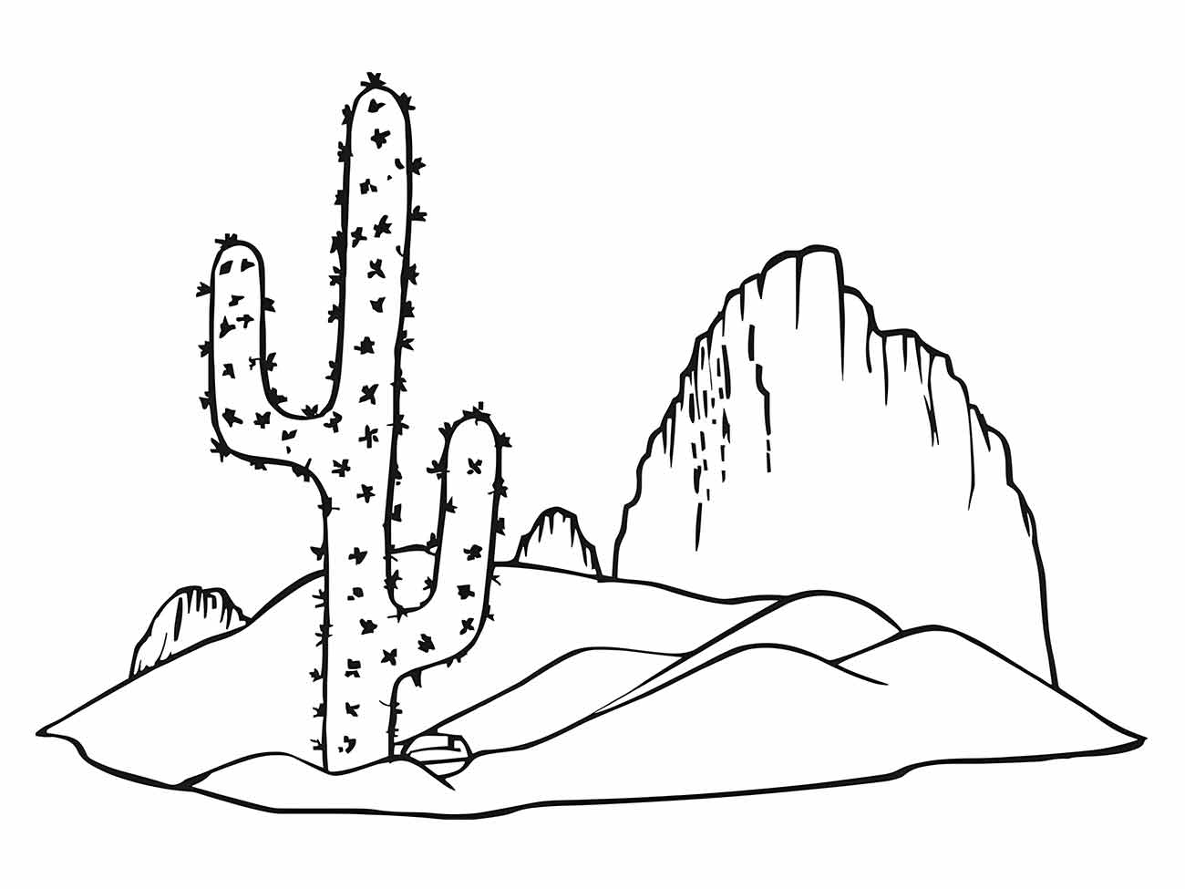 Cacti coloring page (20)