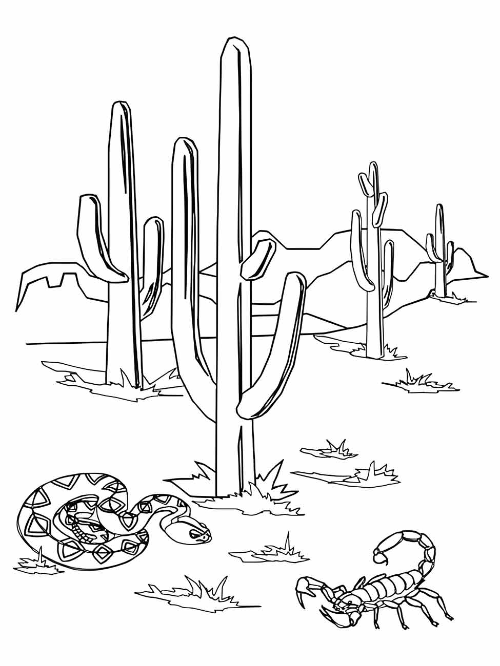 Cacti coloring page (24)