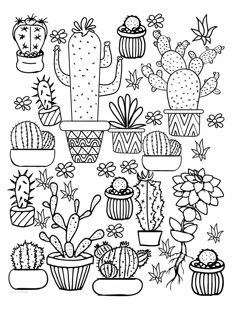 Cacti coloring page (28)