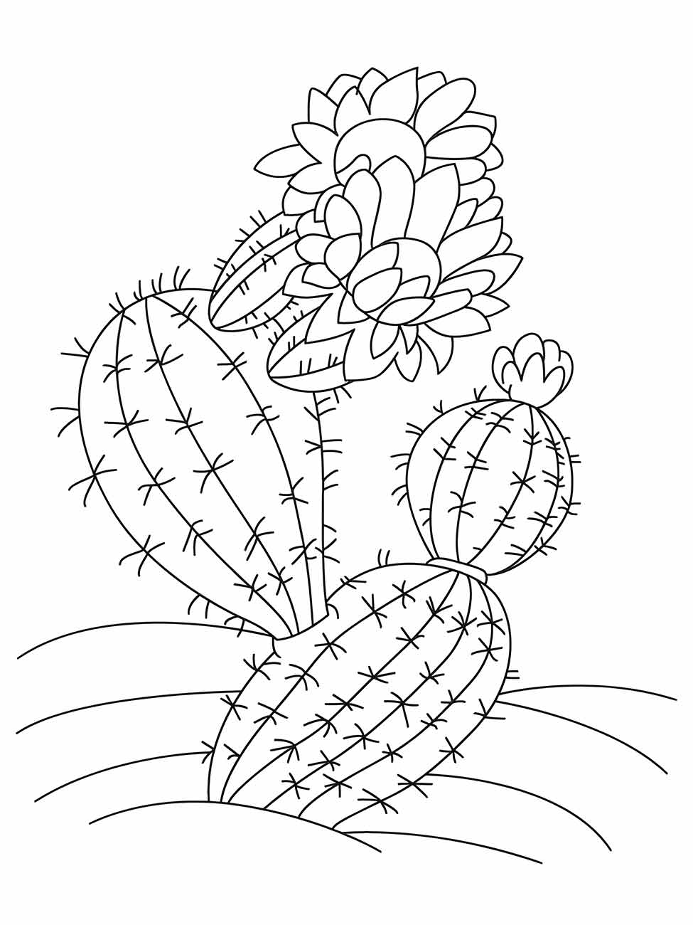 Cacti coloring page (5)