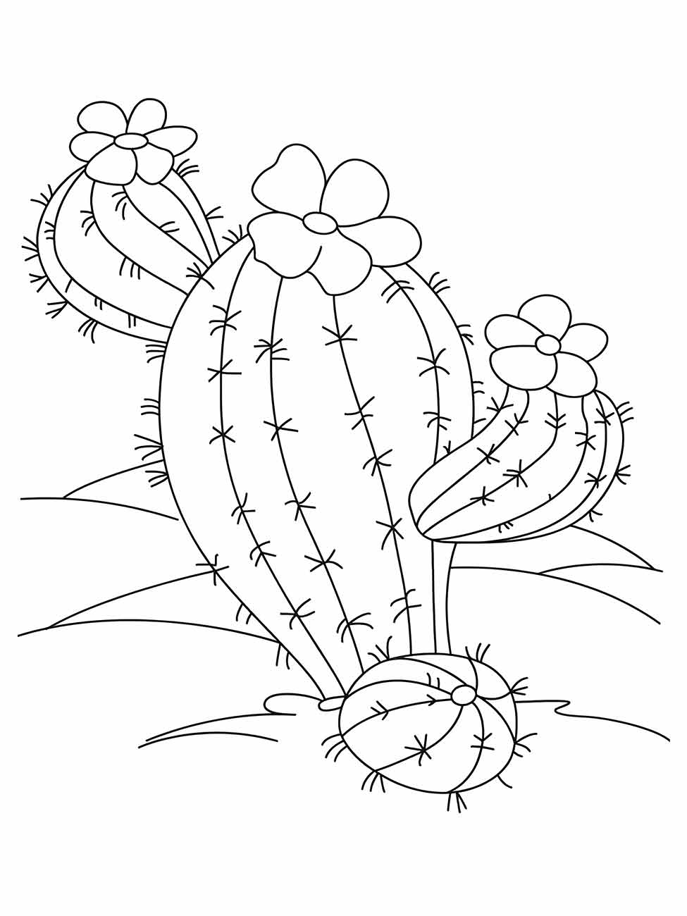 Cacti coloring page (6)