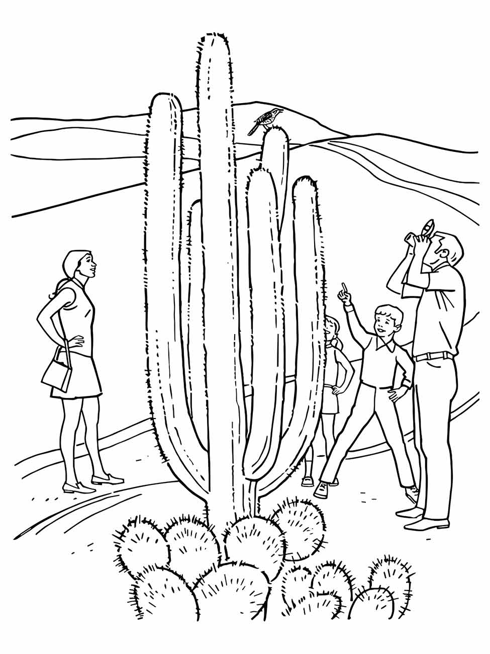 Cacti coloring page (7)