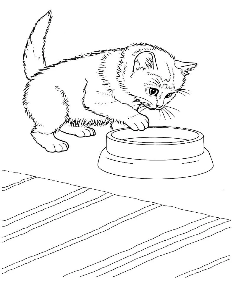 Cats for Kids coloring page (11)