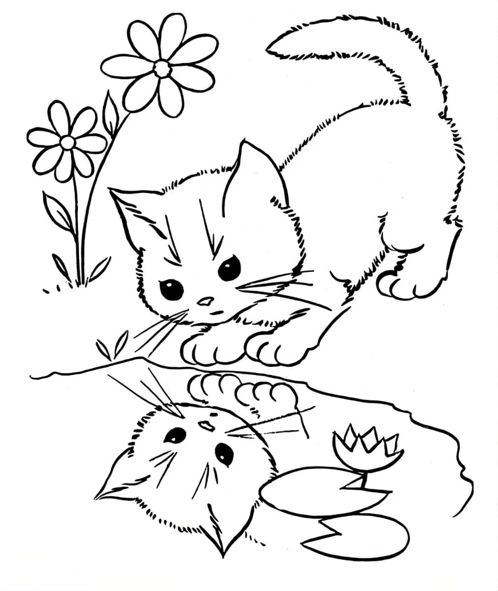 Cats for Kids coloring page (12)