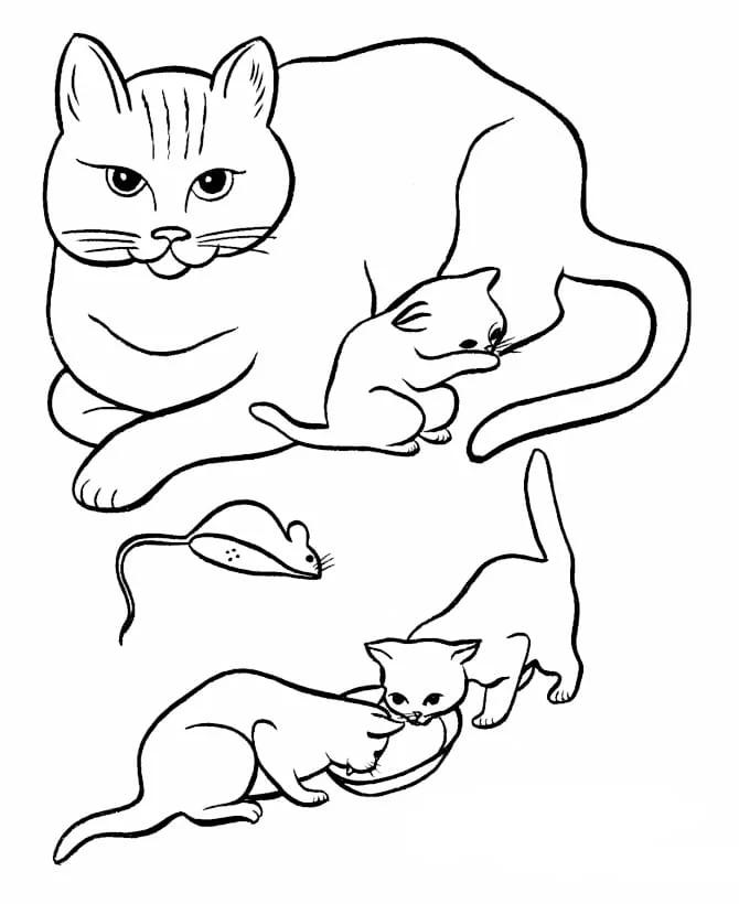 Cats for Kids coloring page (21)