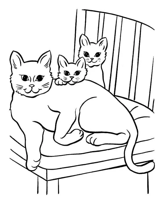 Cats for Kids coloring page (22)