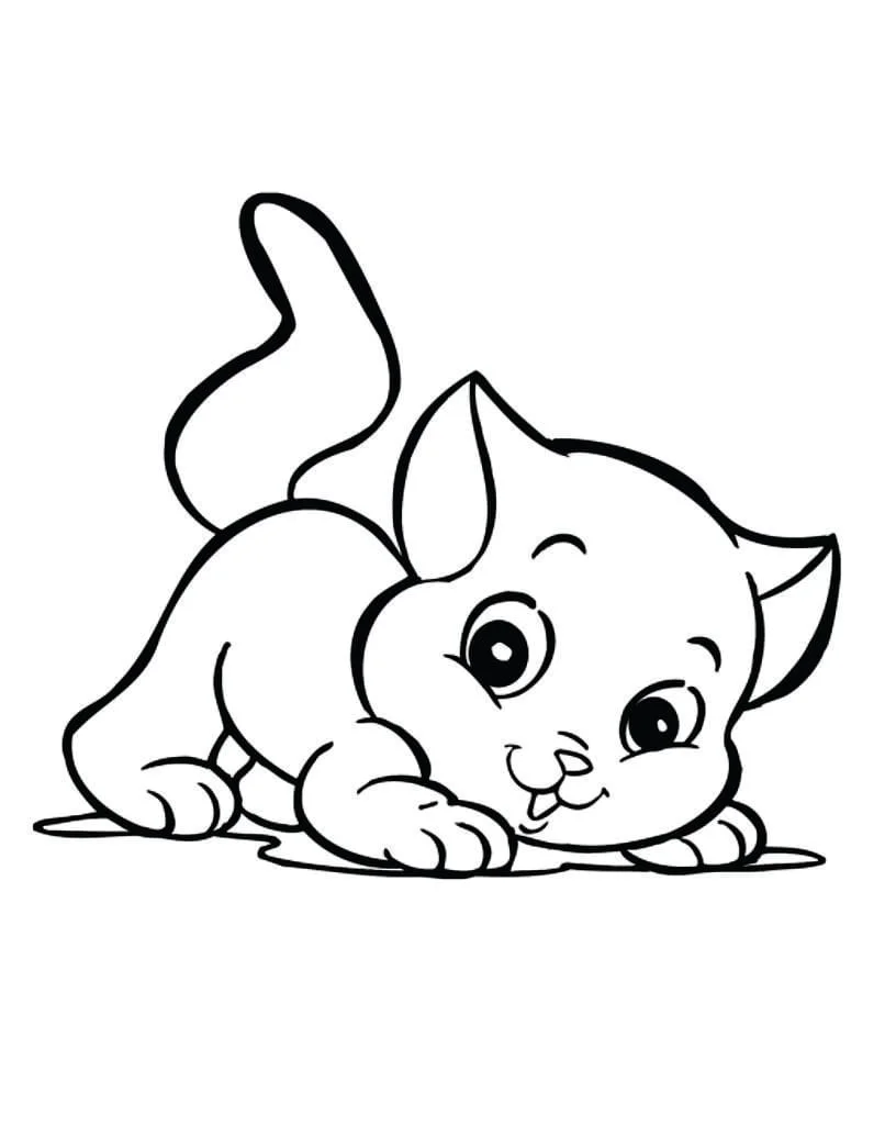 Cats for Kids coloring page (24)