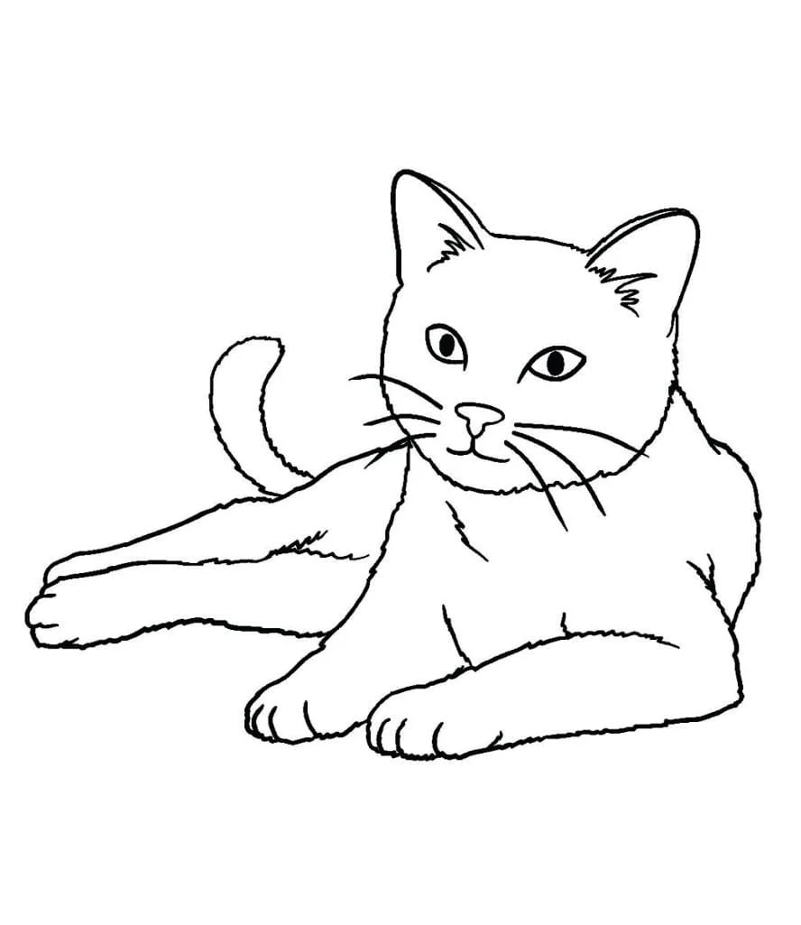 Cats for Kids coloring page (32)