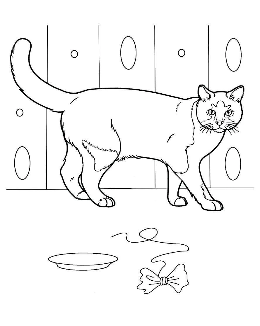 Cats for Kids coloring page (37)