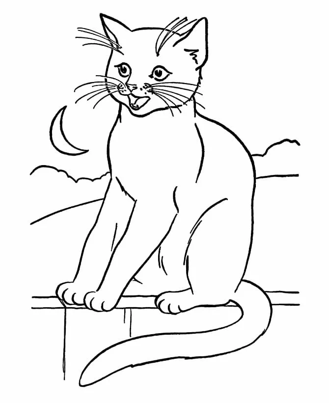 Cats for Kids coloring page (38)