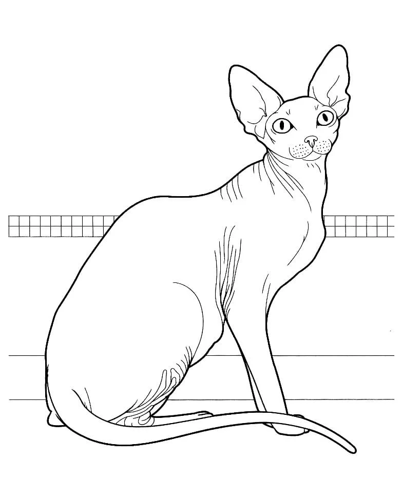 Cats for Kids coloring page (39)