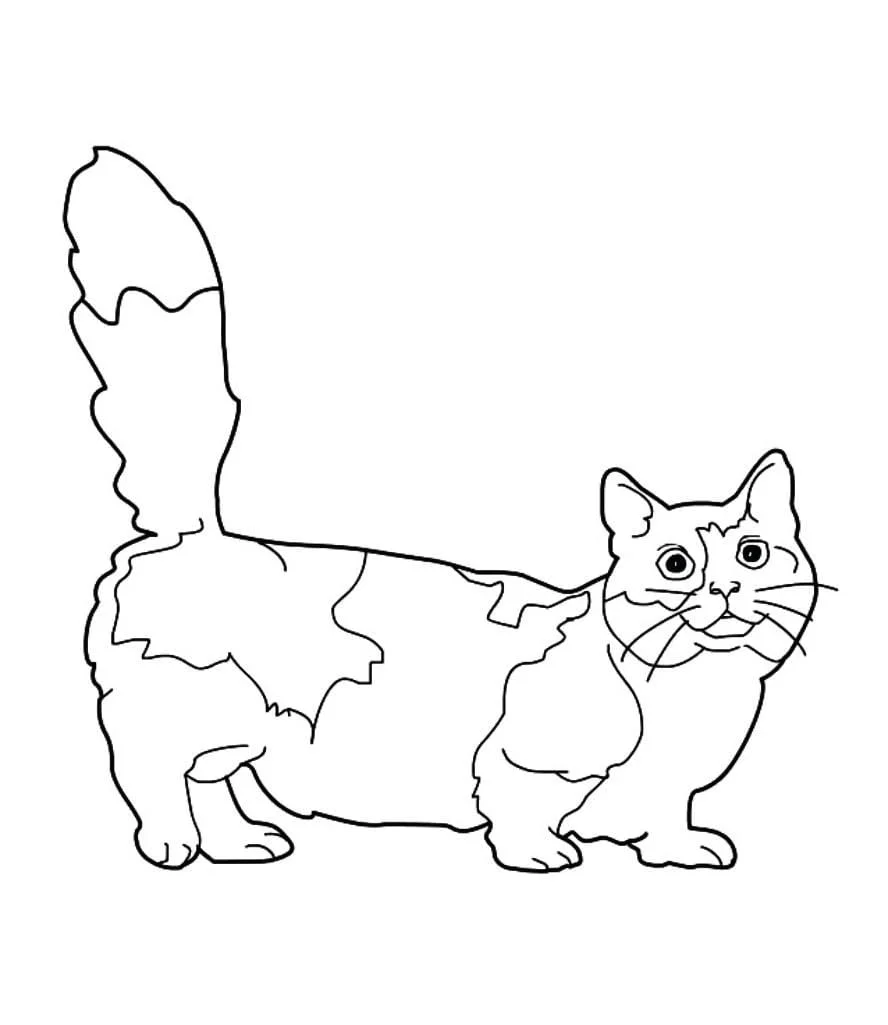 Cats for Kids coloring page (45)