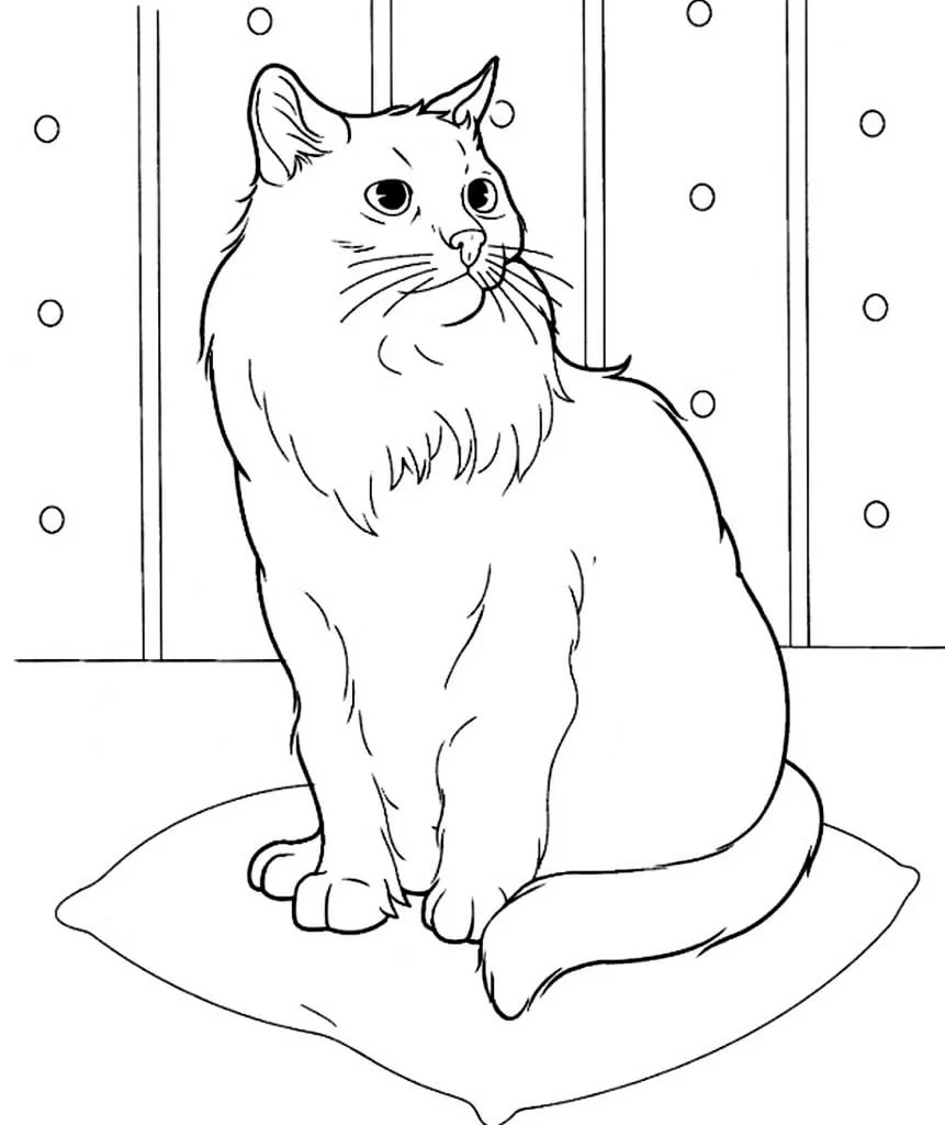 Cats for Kids coloring page (47)