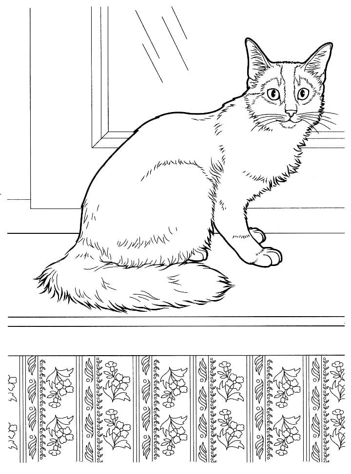 Cats for Kids coloring page (49)