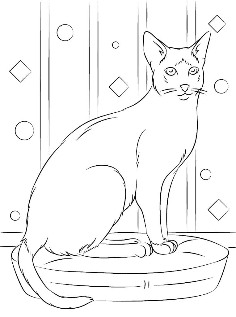 Cats for Kids coloring page (50)