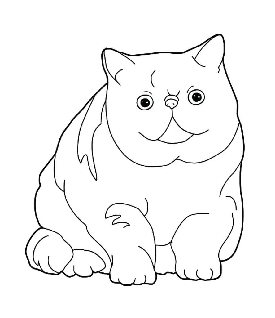 Cats for Kids coloring page (52)