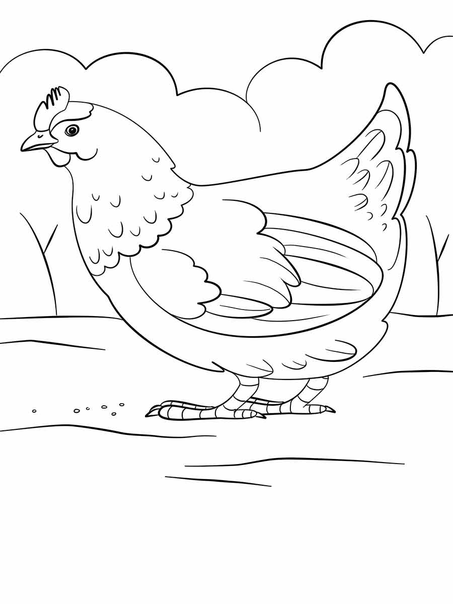 Chicken coloring page (10)