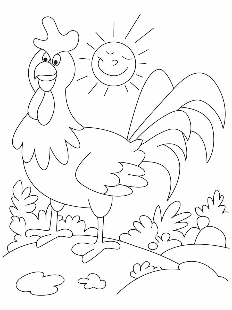 Chicken coloring page (13)