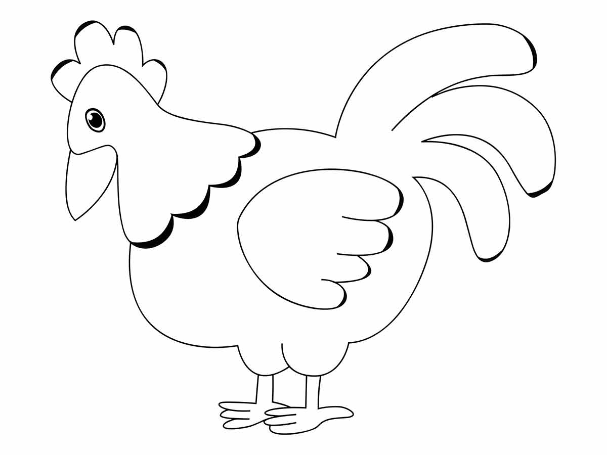 Chicken coloring page (14)