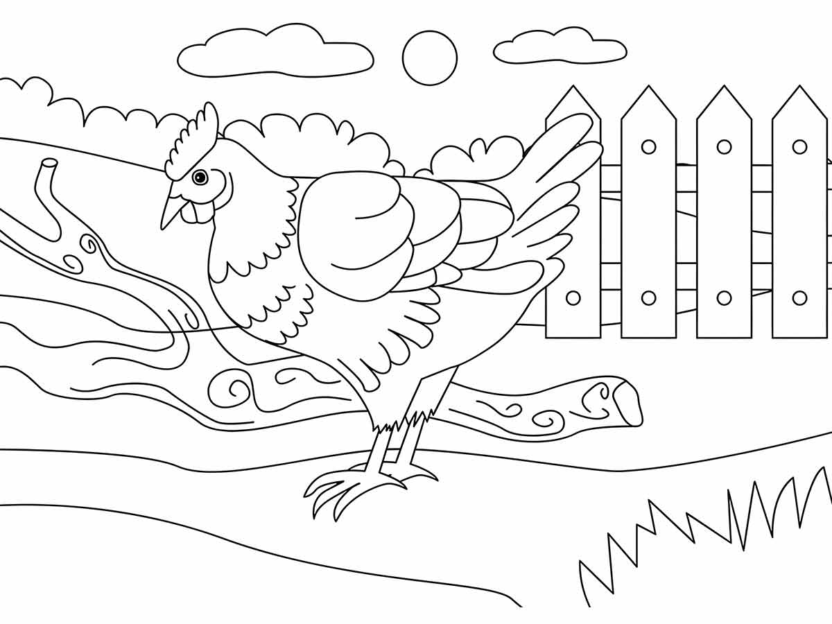 Chicken coloring page (15)