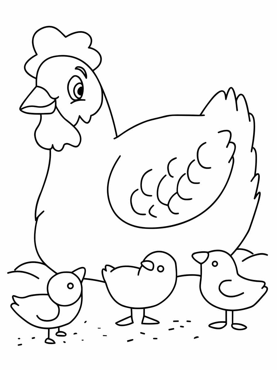 Chicken coloring page (18)