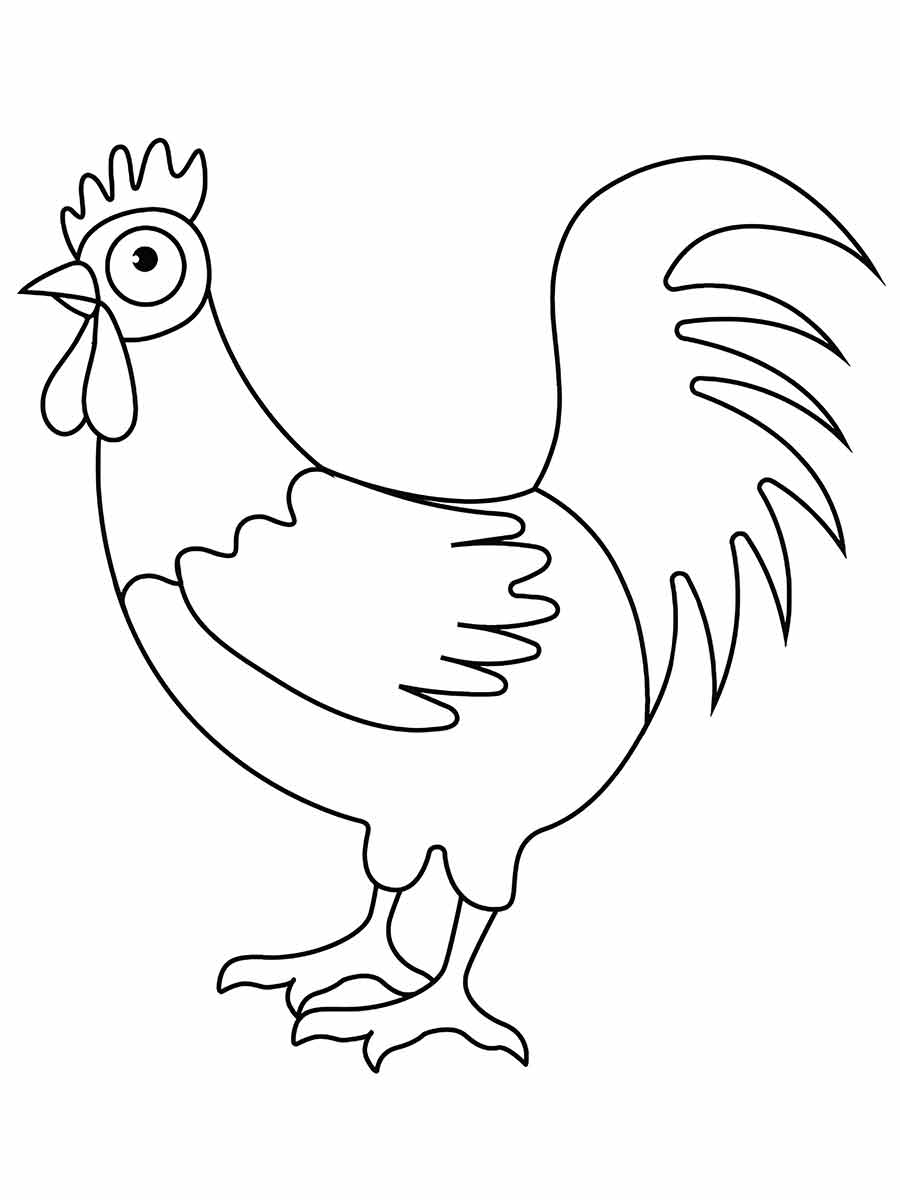 Chicken coloring page (19)