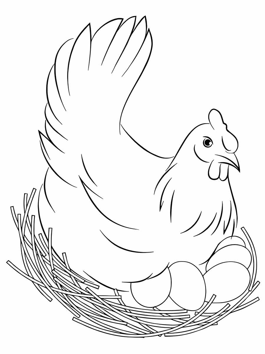 Chicken coloring page (2)