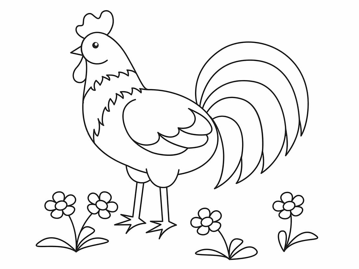 Chicken coloring page (20)