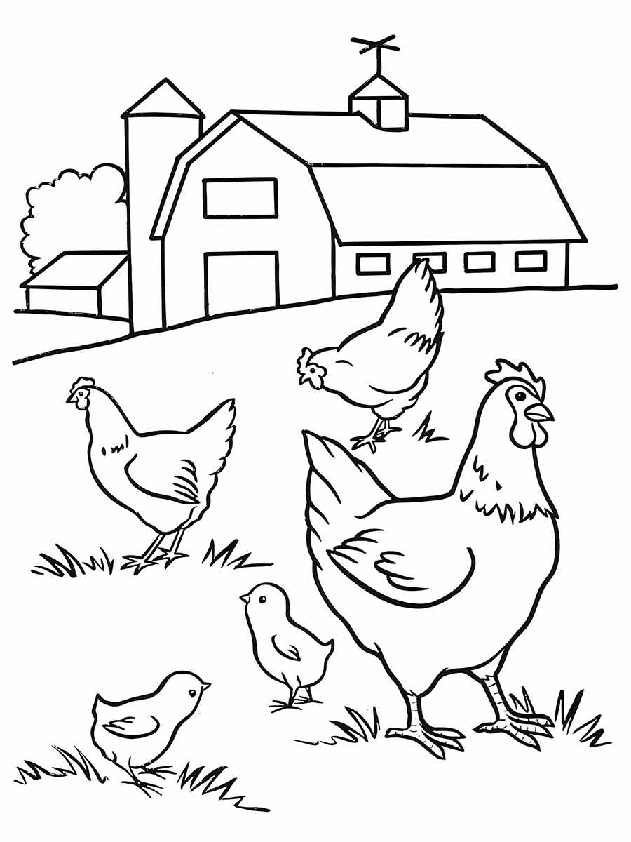 Chicken coloring page (21)