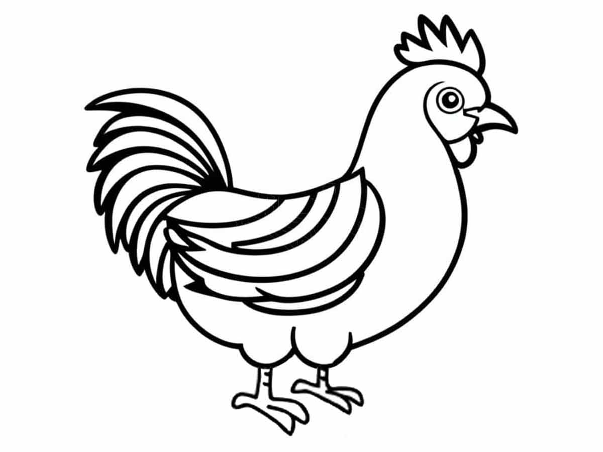 Chicken coloring page (28)