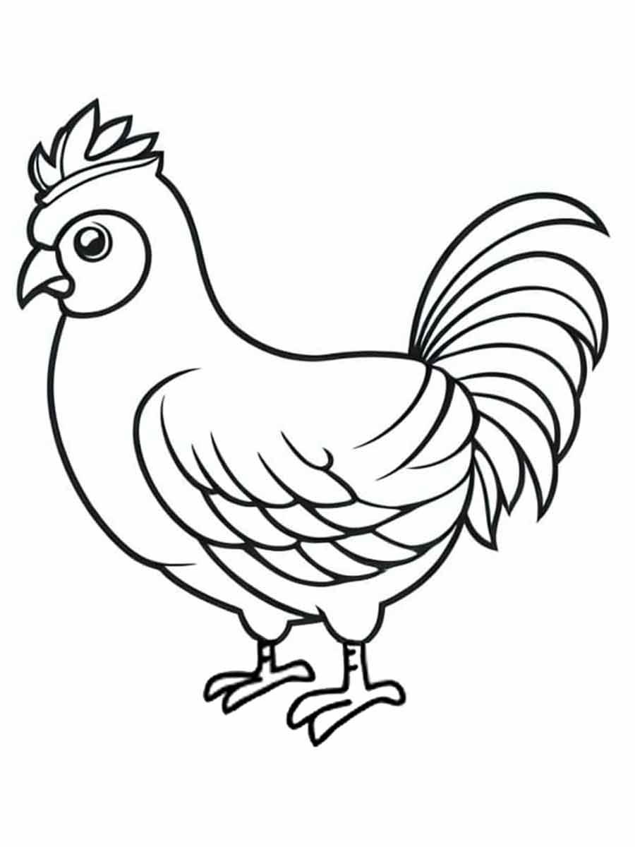 Chicken coloring page (29)