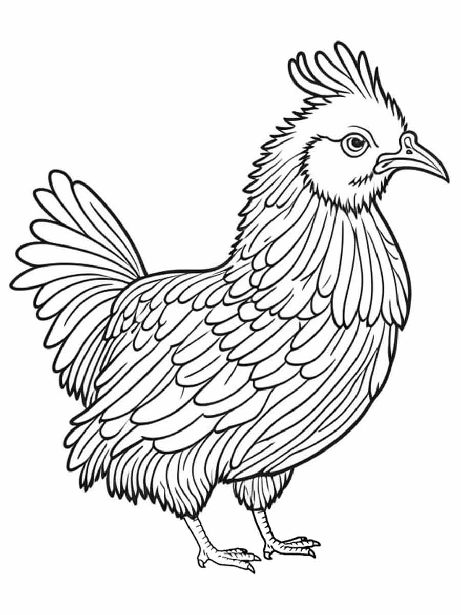 Chicken coloring page (30)