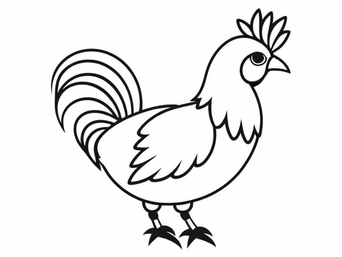 Chicken coloring page (31)