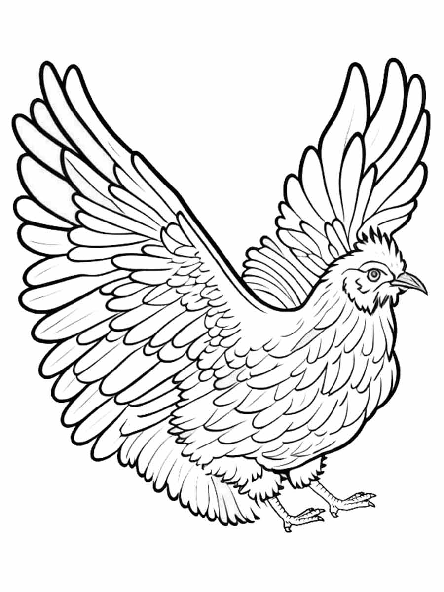 Chicken coloring page (34)