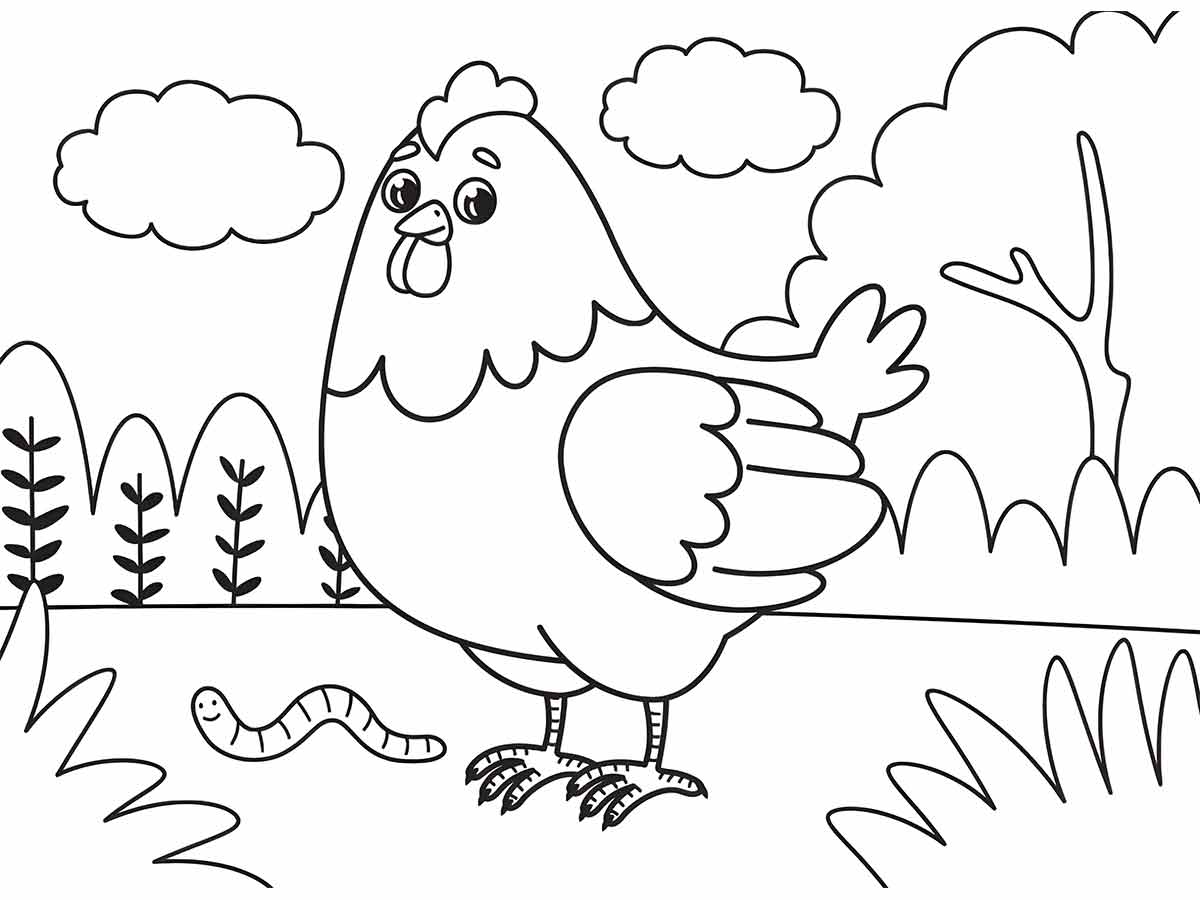 Chicken coloring page (5)