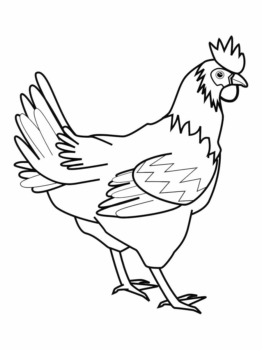 Chicken coloring page (7)