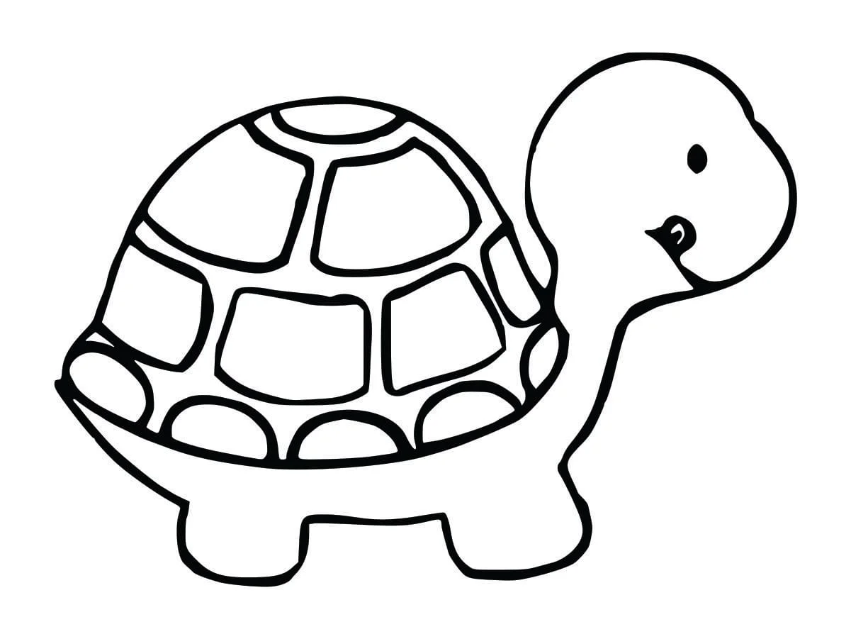 Coloring Pages for Kids (11)