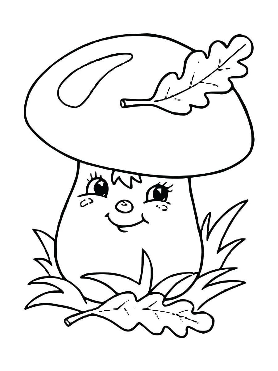 Coloring Pages for Kids (14)