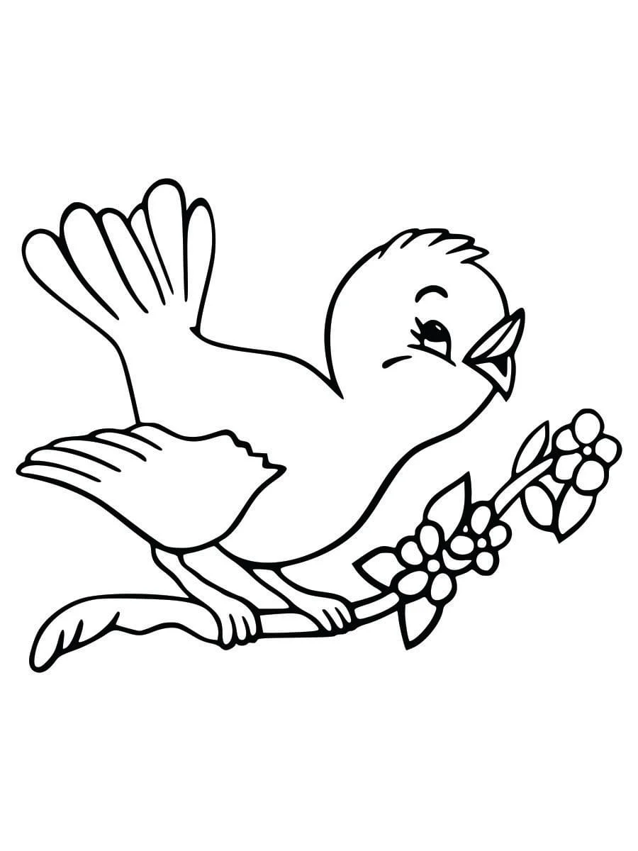 Coloring Pages for Kids (2)