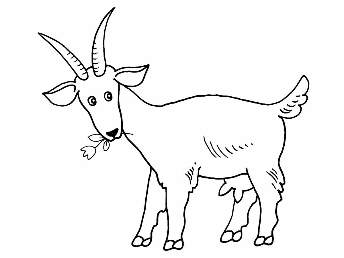 Coloring Pages for Kids (20)