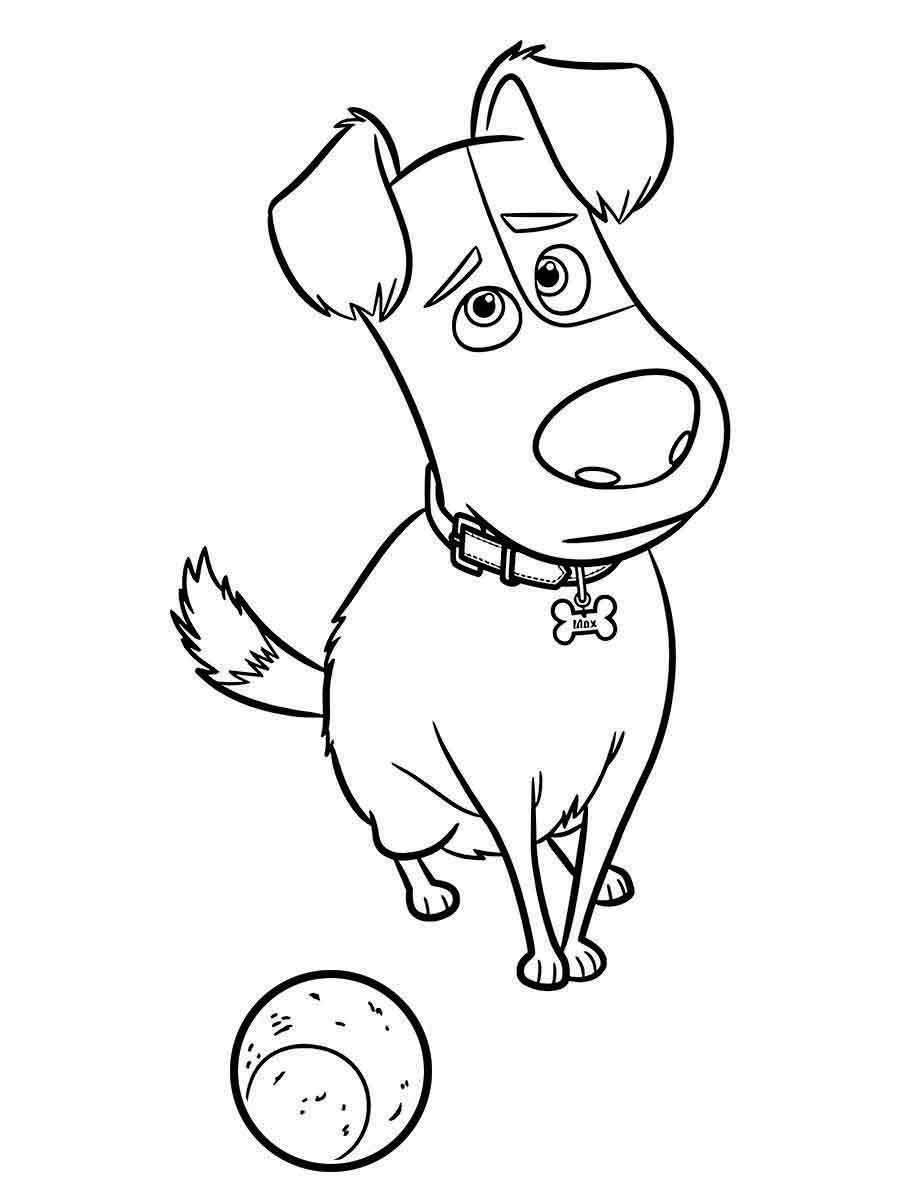 Coloring Pages for Kids (23)